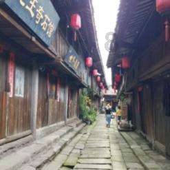 芭比公主四元素装